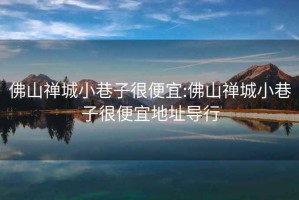 佛山禅城小巷子很便宜:佛山禅城小巷子很便宜地址导行