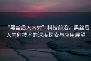 “黑丝后入内射”科技前沿，黑丝后入内射技术的深度探索与应用展望