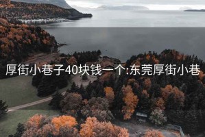 厚街小巷子40块钱一个:东莞厚街小巷