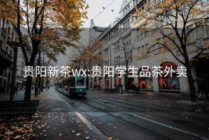 贵阳新茶wx:贵阳学生品茶外卖