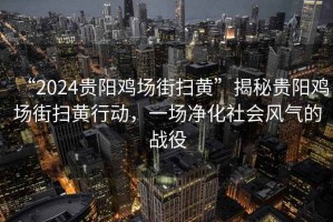 “2024贵阳鸡场街扫黄”揭秘贵阳鸡场街扫黄行动，一场净化社会风气的战役