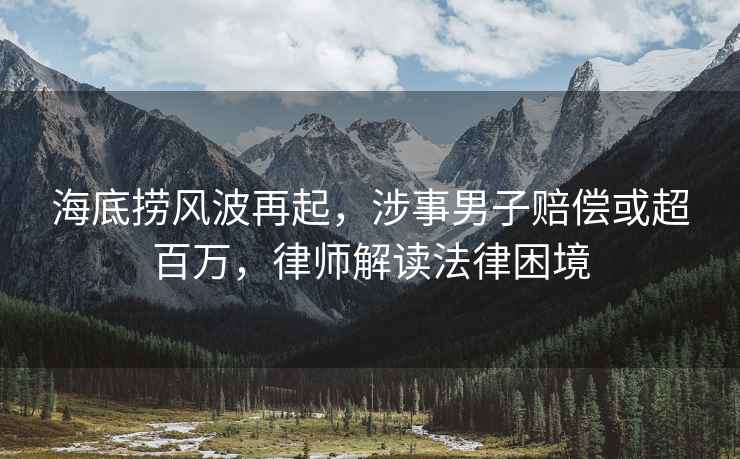 海底捞风波再起，涉事男子赔偿或超百万，律师解读法律困境