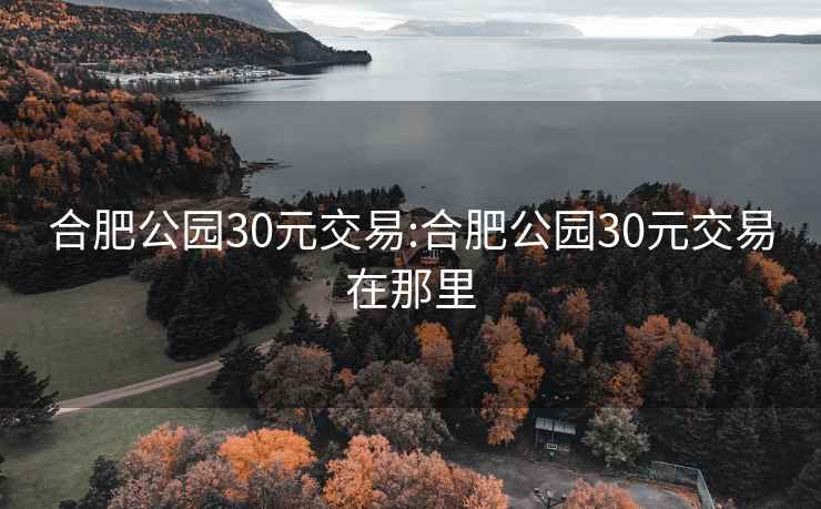 合肥公园30元交易:合肥公园30元交易在那里