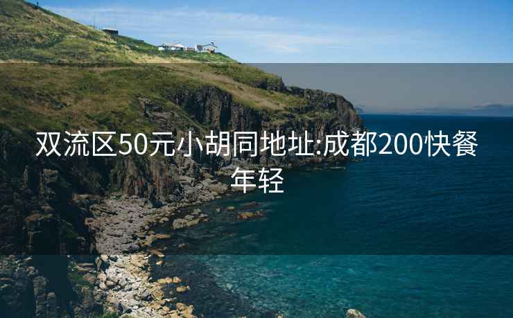 双流区50元小胡同地址:成都200快餐年轻