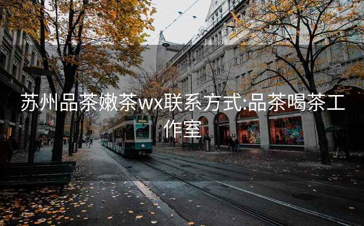 苏州品茶嫩茶wx联系方式:品茶喝茶工作室