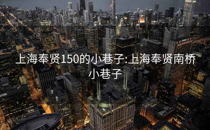 上海奉贤150的小巷子:上海奉贤南桥小巷子