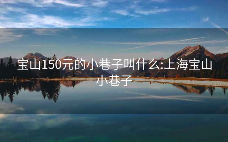 宝山150元的小巷子叫什么:上海宝山小巷子