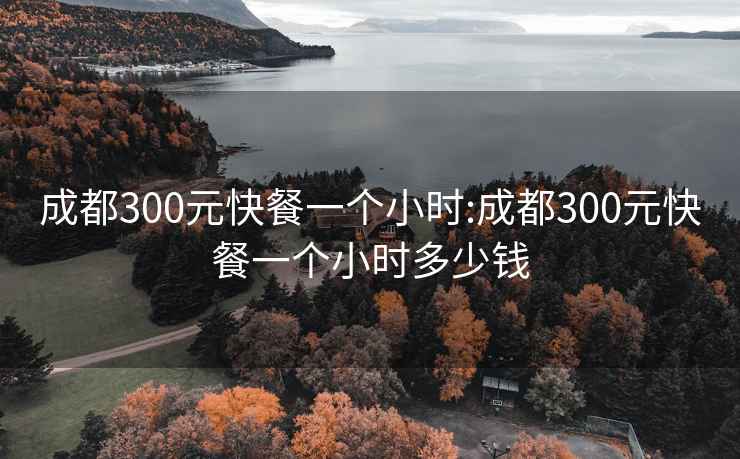 成都300元快餐一个小时:成都300元快餐一个小时多少钱