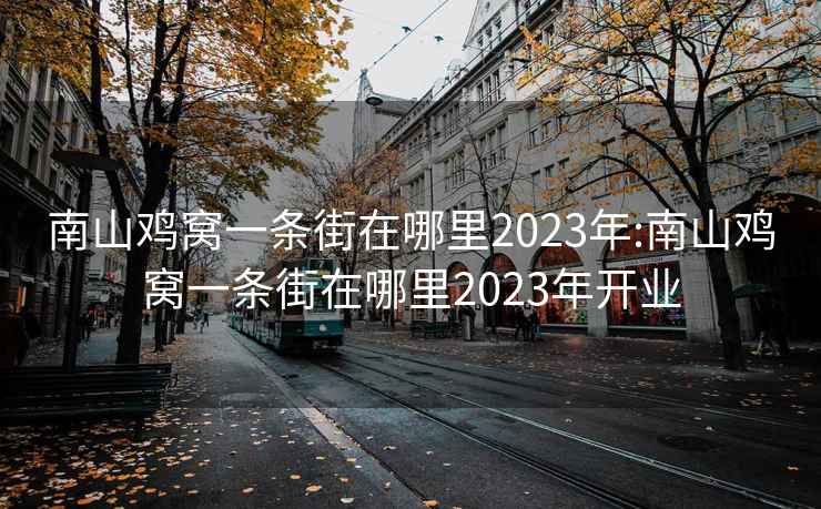 南山鸡窝一条街在哪里2023年:南山鸡窝一条街在哪里2023年开业