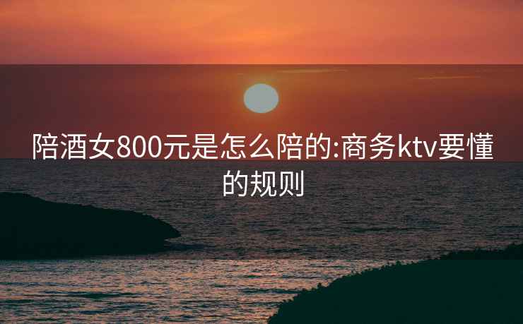 陪酒女800元是怎么陪的:商务ktv要懂的规则