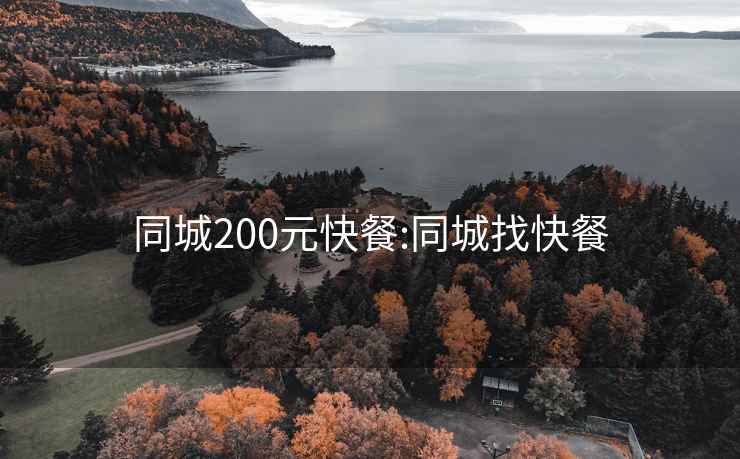 同城200元快餐:同城找快餐