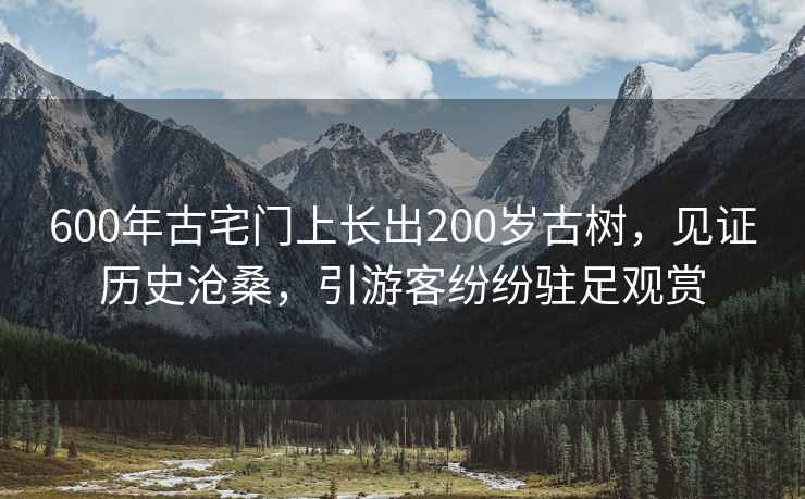 600年古宅门上长出200岁古树，见证历史沧桑，引游客纷纷驻足观赏