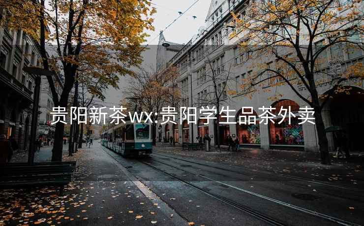 贵阳新茶wx:贵阳学生品茶外卖