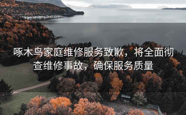 啄木鸟家庭维修服务致歉，将全面彻查维修事故，确保服务质量