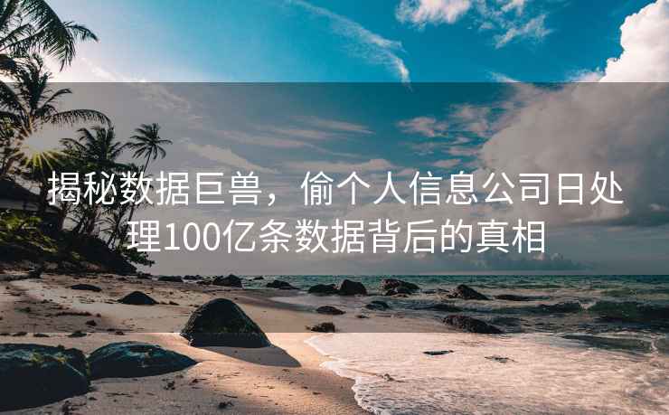 揭秘数据巨兽，偷个人信息公司日处理100亿条数据背后的真相