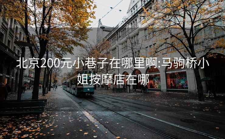 北京200元小巷子在哪里啊:马驹桥小姐按摩店在哪