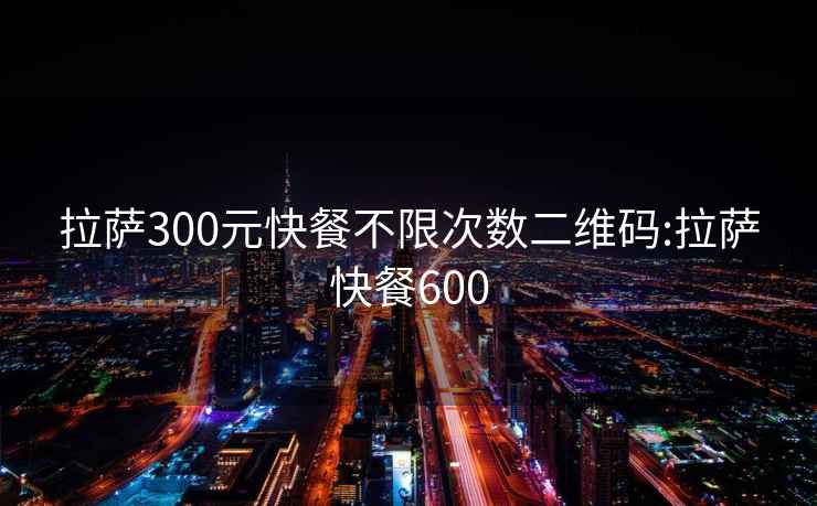 拉萨300元快餐不限次数二维码:拉萨快餐600