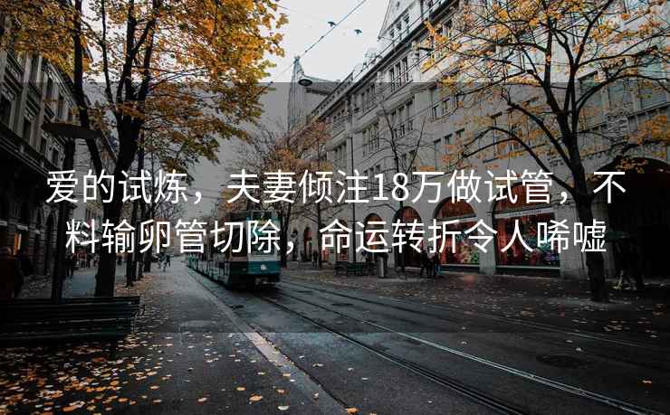 爱的试炼，夫妻倾注18万做试管，不料输卵管切除，命运转折令人唏嘘