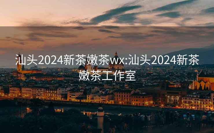 汕头2024新茶嫩茶wx:汕头2024新茶嫩茶工作室