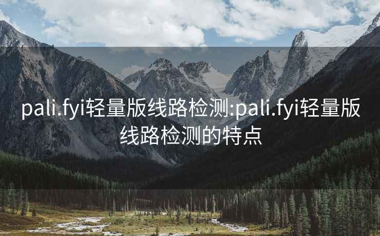 pali.fyi轻量版线路检测:pali.fyi轻量版线路检测的特点