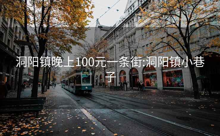 洞阳镇晚上100元一条街:洞阳镇小巷子