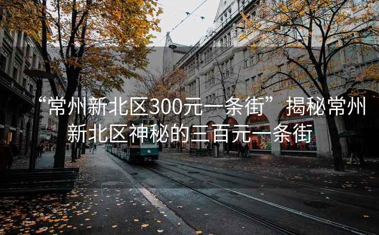 “常州新北区300元一条街”揭秘常州新北区神秘的三百元一条街