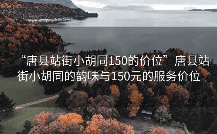 “唐县站街小胡同150的价位”唐县站街小胡同的韵味与150元的服务价位