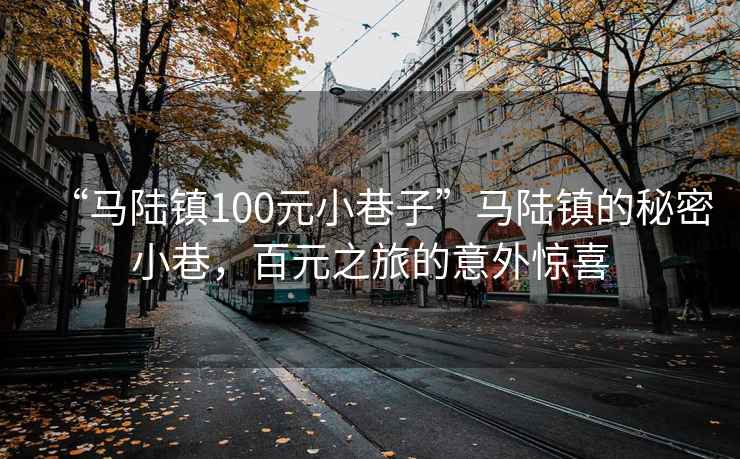 “马陆镇100元小巷子”马陆镇的秘密小巷，百元之旅的意外惊喜