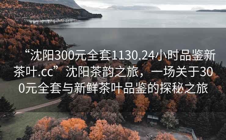 “沈阳300元全套1130.24小时品鉴新茶叶.cc”沈阳茶韵之旅，一场关于300元全套与新鲜茶叶品鉴的探秘之旅