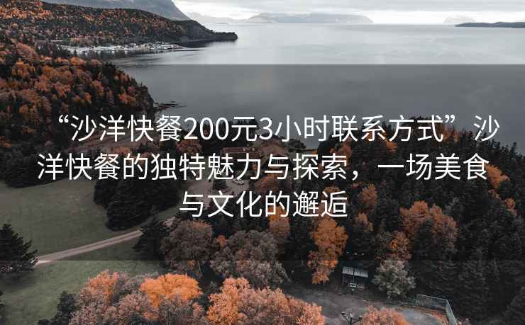 “沙洋快餐200元3小时联系方式”沙洋快餐的独特魅力与探索，一场美食与文化的邂逅