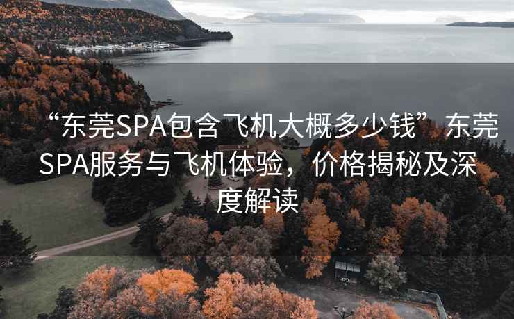 “东莞SPA包含飞机大概多少钱”东莞SPA服务与飞机体验，价格揭秘及深度解读