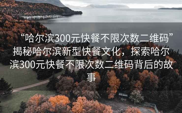 “哈尔滨300元快餐不限次数二维码”揭秘哈尔滨新型快餐文化，探索哈尔滨300元快餐不限次数二维码背后的故事