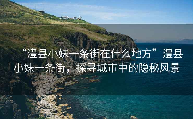 “澧县小妹一条街在什么地方”澧县小妹一条街，探寻城市中的隐秘风景