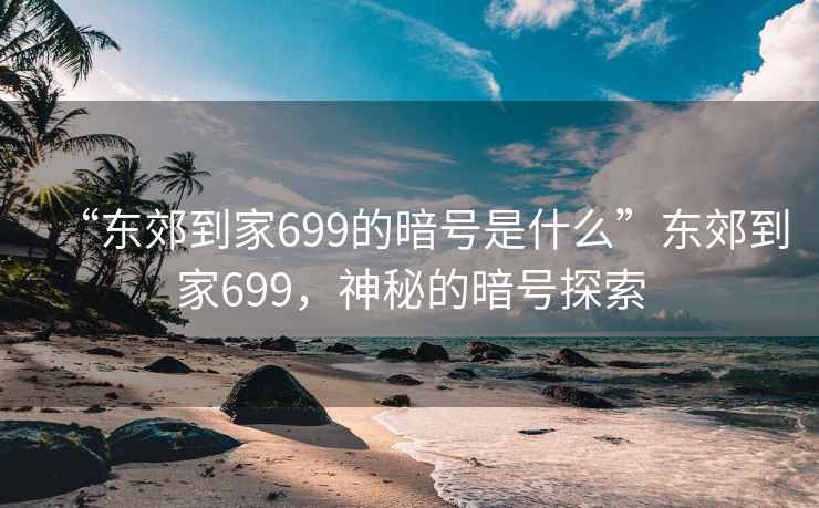 “东郊到家699的暗号是什么”东郊到家699，神秘的暗号探索