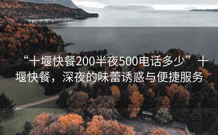 “十堰快餐200半夜500电话多少”十堰快餐，深夜的味蕾诱惑与便捷服务